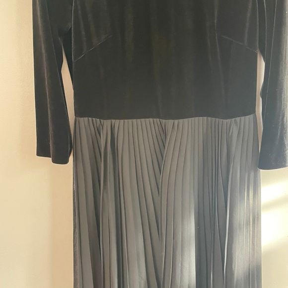 Adrianna Papell Velvet Top Fit and Flare Pleated
Chiffon Skirt Dress Size 8 - Picture 4 of 9